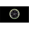 Колесо TECH TEAM COMFORT 145 light green ABEC - 9 NN009897